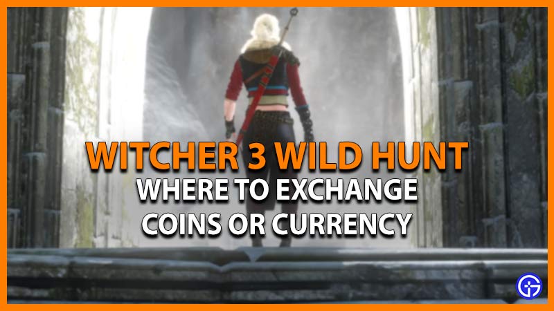 Where To Exchange Coins In The Witcher 3 Wild Hunt