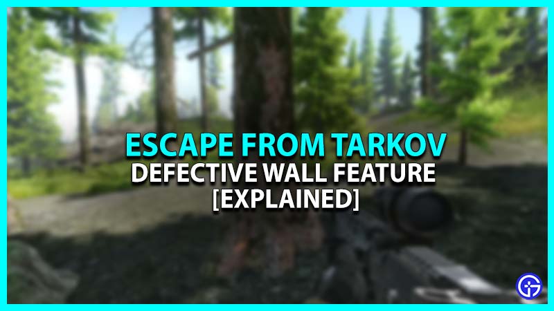 Defective Wall Explained In Escape From Tarkov