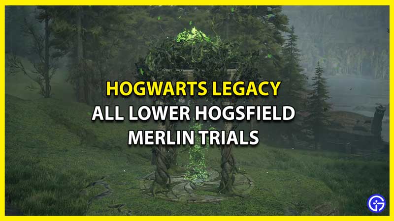 All Lower Hogsfield Merlin Trials Hogwarts Legacy - How To Solve Them