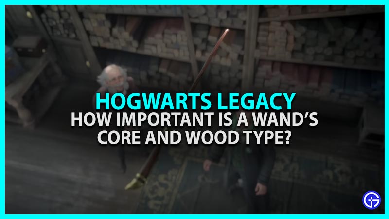 Hogwarts Legacy: How Important Is Your Wand's Wood And Core Type?