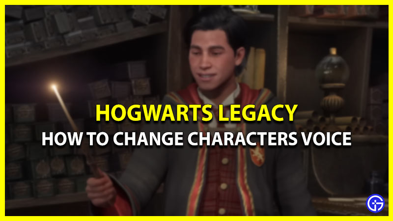 How Can I Change My Character's Voice In Hogwarts Legacy