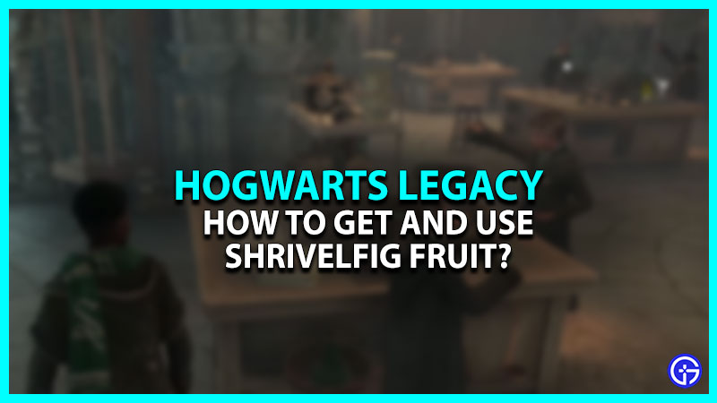 Hogwarts Legacy Shrivelfig Fruit Guide