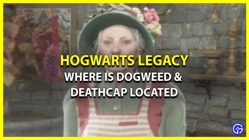 Where Is Dogweed And Deathcap Located In Hogwarts Legacy?