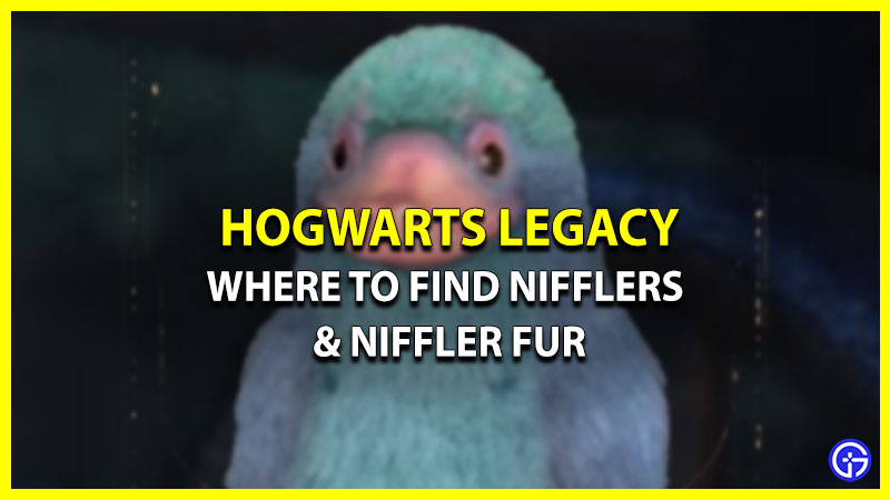 Nifflers & Niffler Fur Locations In Hogwarts Legacy: Where To Find