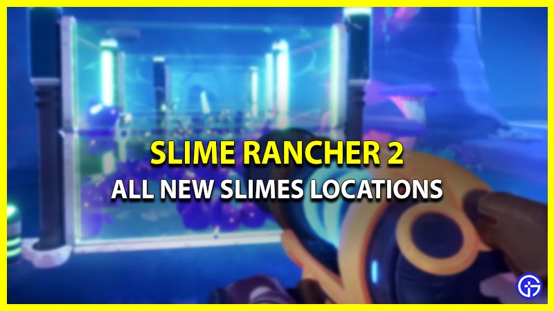 Slime Rancher 2: All New Slimes Locations, Diet & Favorite Food