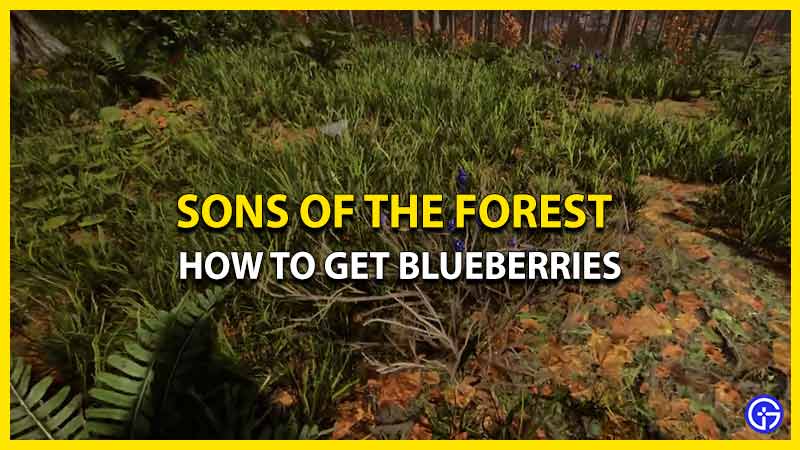 How To Find Blueberries In Sons Of The Forest (Location)