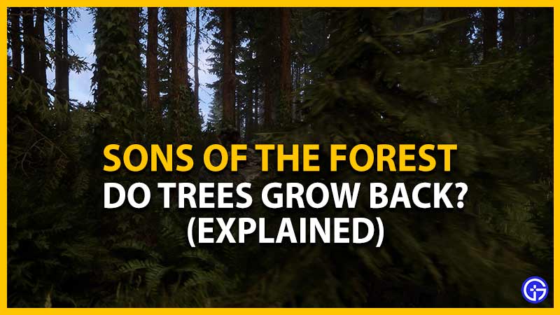 Do Trees Grow Back In Sons Of The Forest? (Explained)