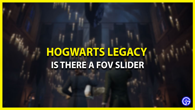 Does Hogwarts Legacy Have A FOV Slider? (Answered)