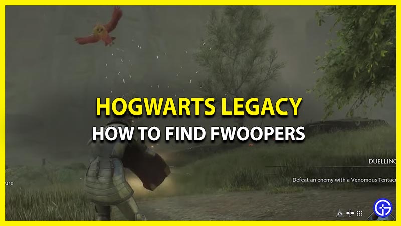 Location Of Fwooper Den & Fwooper Feathers: Hogwarts Legacy