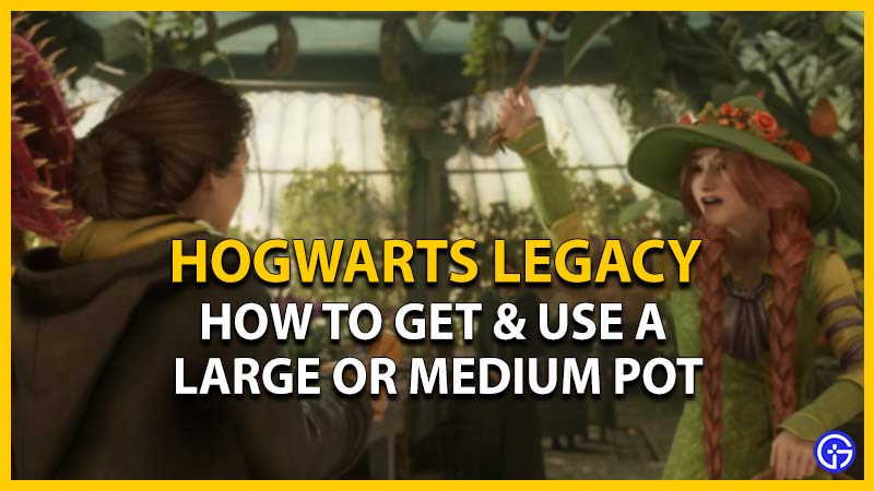 Hogwarts Legacy: How To Get Large Or Medium Pot