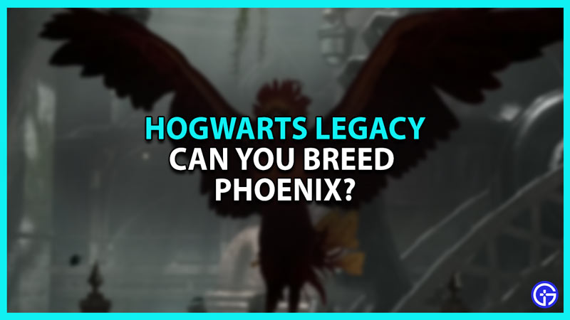 Hogwarts Legacy: Can You Breed Phoenix? (Answered)