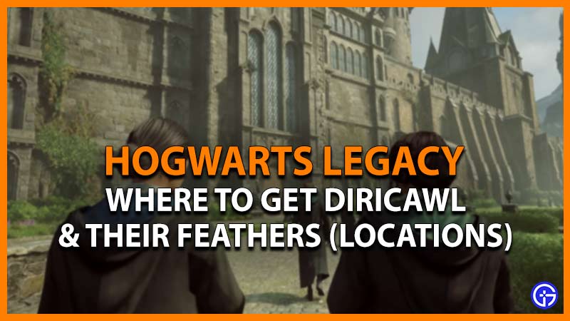 Hogwarts Legacy Diricawl Locations: Where To Get Their Feathers