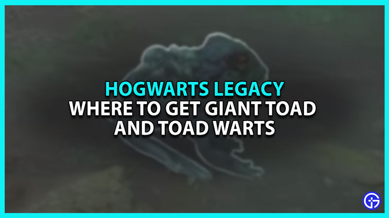 Where To Get Giant Toad And Toad Warts In Hogwarts Legacy (Location Guide)