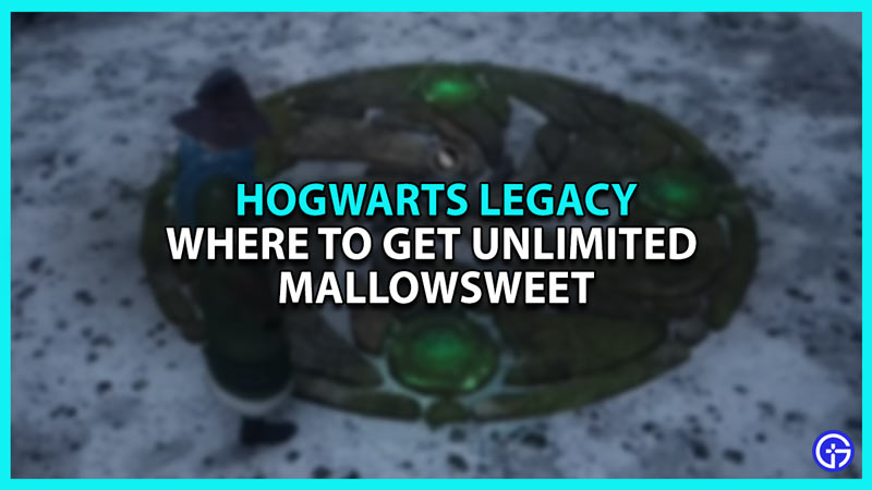 Hogwarts Legacy: How To Get Mallowsweet Leaves And Seeds