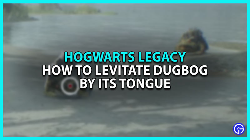 How To Get Dugbog Tongue Using Levitate In Hogwarts Legacy
