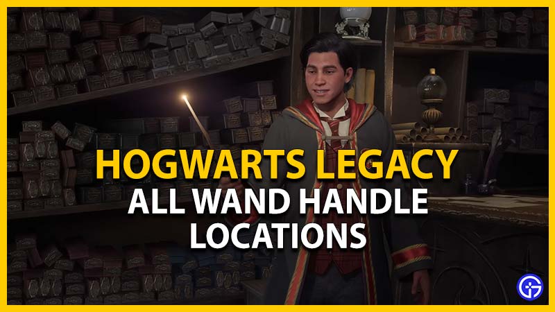 Hogwarts Legacy Wand Handle Locations: Where To Find All