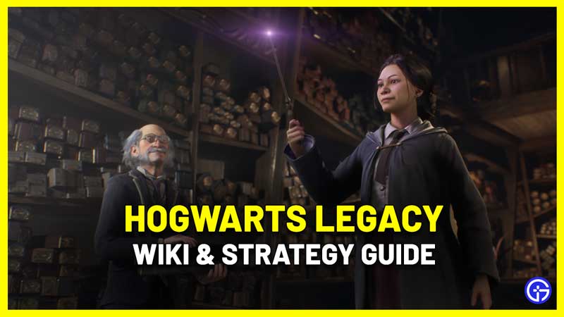 Hogwarts Legacy Wiki: Tips, Tricks, Strategy Guide