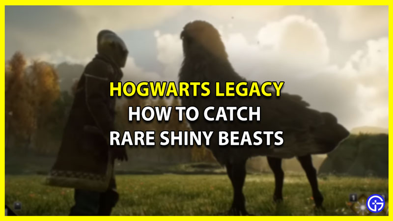 How To Catch Shiny Beasts In Hogwarts Legacy (Explained)