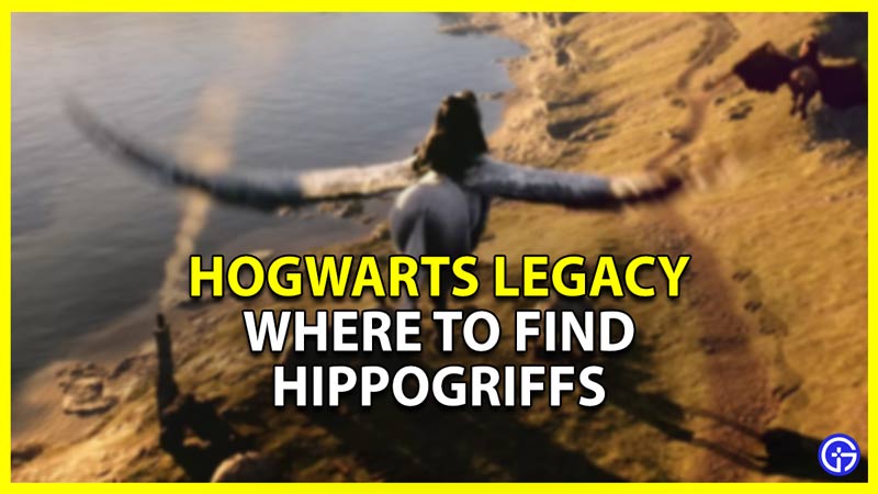 Where To Find Hippogriffs In Hogwarts Legacy (Map Location)