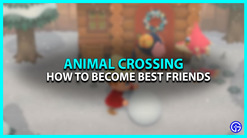 How To Become Best Friends In Animal Crossing New Horizons
