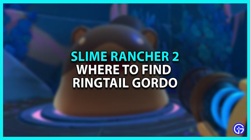 Slime Rancher 2: Where To Find Ringtail Gordo