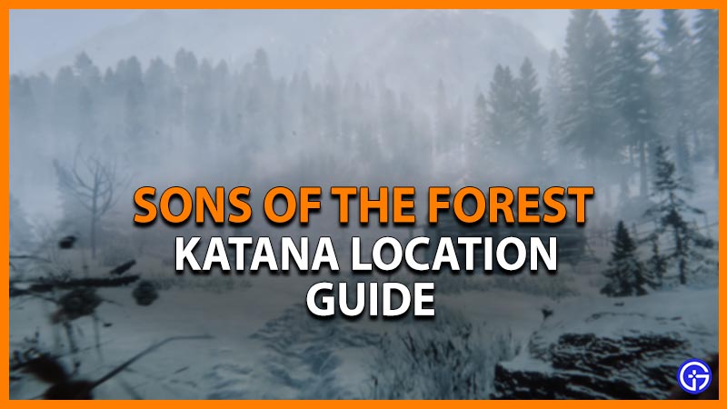 Sons Of The Forest Katana: How To Get (Location)