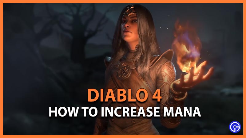 Diablo 4: How To Increase & Get Mana