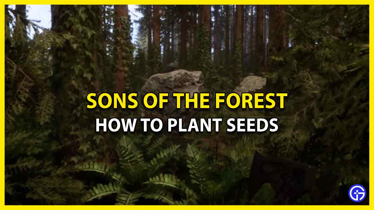 How To Plant & Grow Seeds In Sons Of The Forest