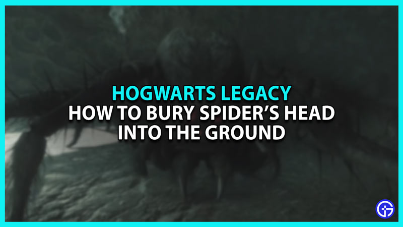 How To Bury Spider’s Head In Hogwarts Legacy