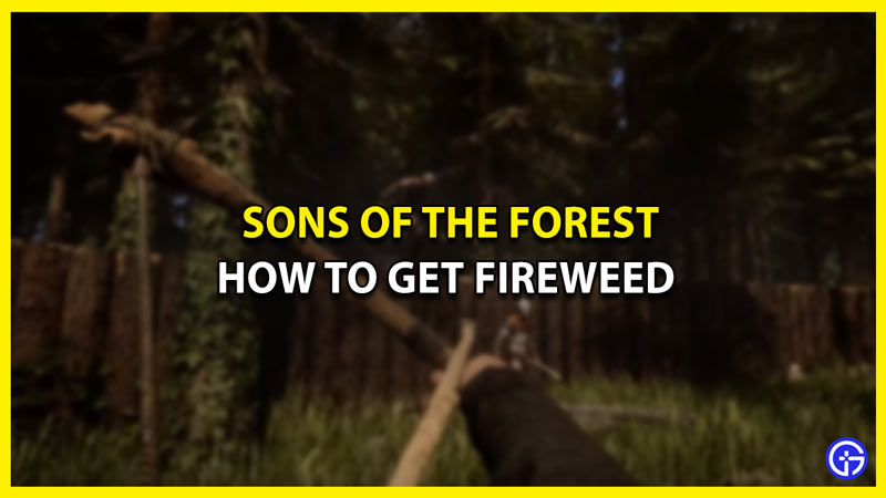 How To Find Fireweed In Sons Of The Forest