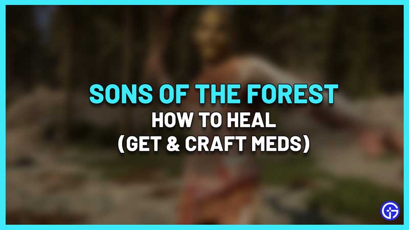 How To Heal In Sons Of The Forest | Health Mix, Medicine