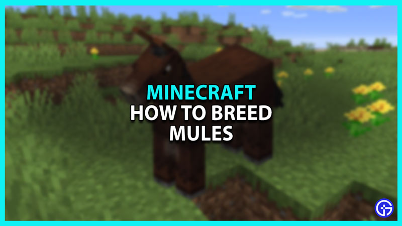 How To Breed Mules In Minecraft