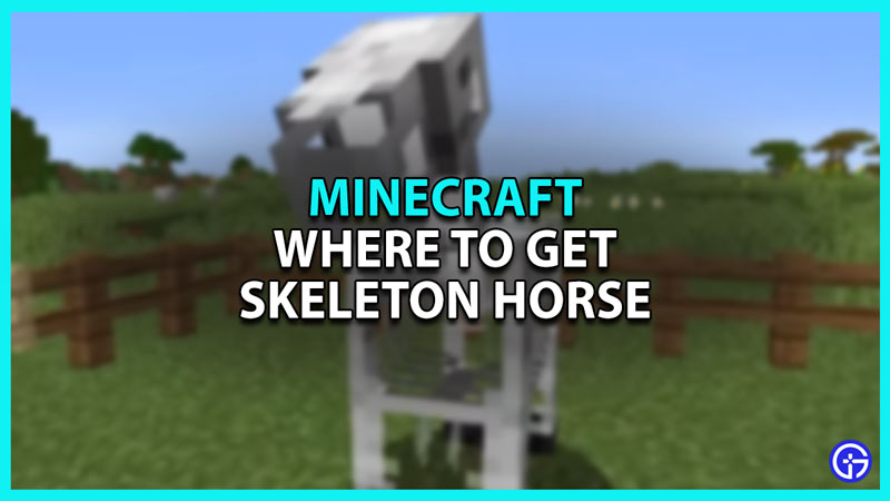 Where To Get Skeleton Horse In Minecraft