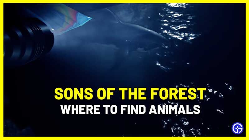 Sons of the Forest Animals Location: How To Find & Hunt Them
