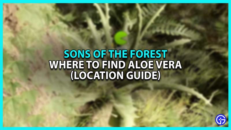 Where To Find Aloe Vera In Sons Of The Forest (Location Guide)