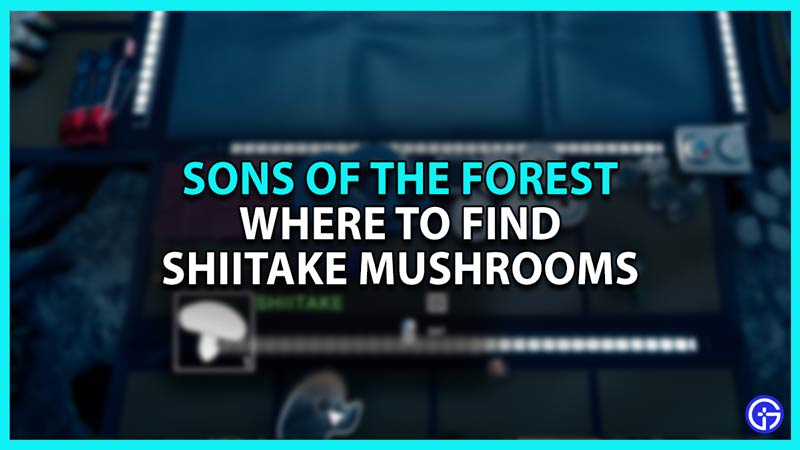 Where To Find Shiitake Mushrooms In Sons Of The Forest