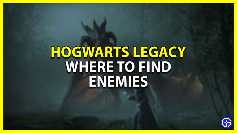 How To Find Enemies In Hogwarts Legacy (Locations)