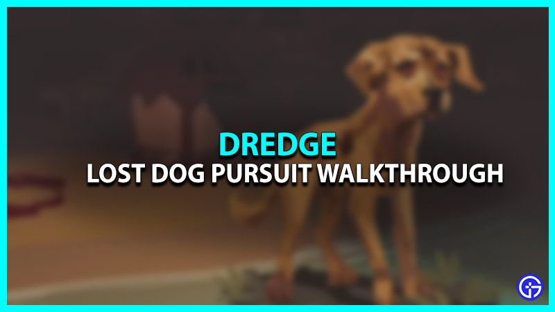 Dredge Lost Dog Pursuit Walkthrough
