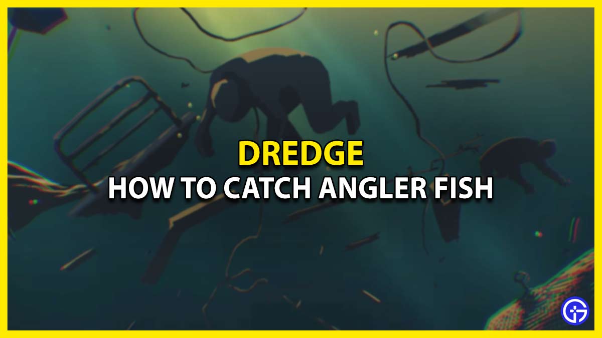 Angler Fish In Dredge: How To Find & Catch