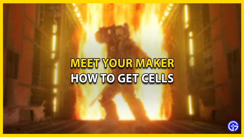 Meet Your Maker: Guide To Getting Cells