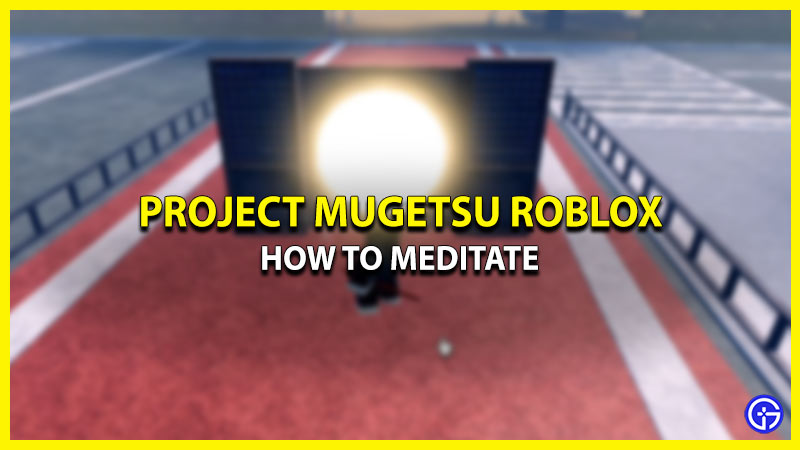 PM Roblox Meditation Guide