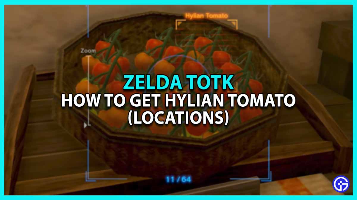 Tears Of The Kingdom Hylian Tomato Locations