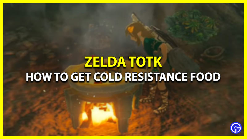 How To Get Cold Resistance Food In Tears of the Kingdom