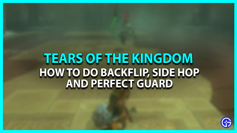 How To Side Hop, Backflip, & Perfect Guard In Zelda TOTK