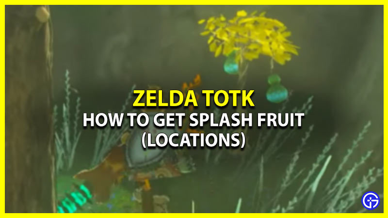 Splash Fruit Locations In Tears Of The Kingdom