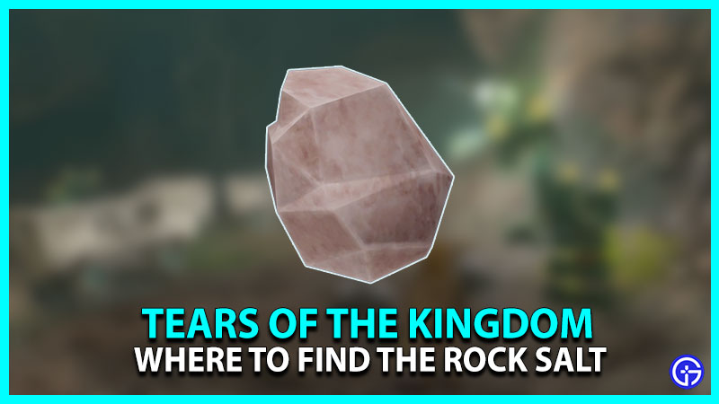 How To Get Rock Salt In Zelda TOTK (Farming Guide)