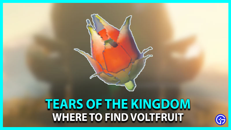 Voltfruit Location In Zelda TOTK (Farming Guide)