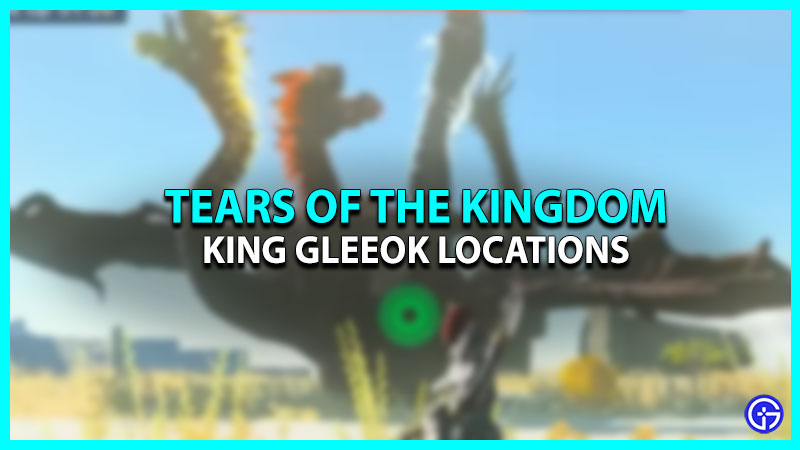 Zelda TOTK King Gleeok Location Guide (Secret Boss)