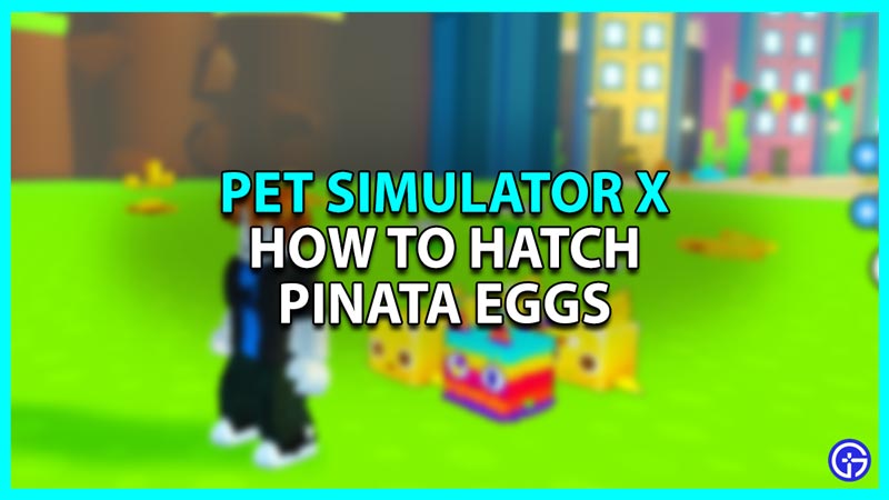 How To Hatch Pinata Eggs In Pet Simulator X