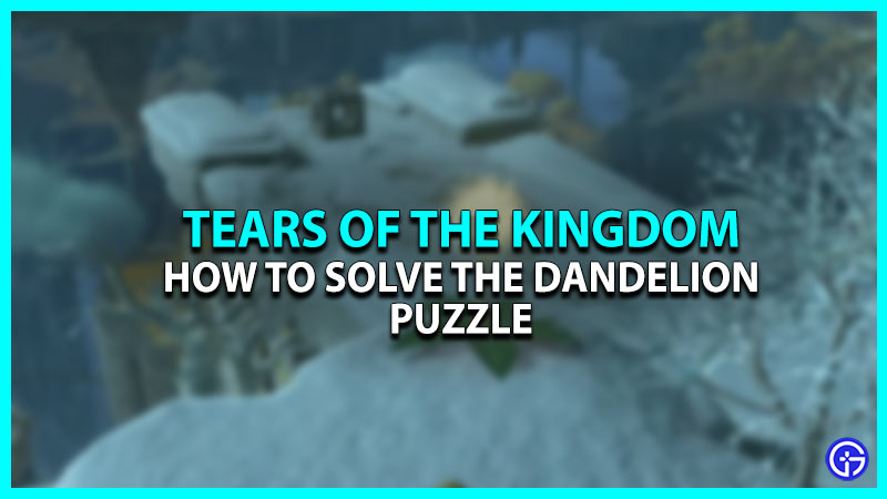 What To Do With Dandelions In Zelda Tears Of The Kingdom